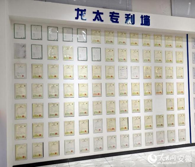 淮北市杜集区：“链”上飞地比翼齐“飞”(图1)